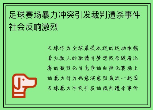 足球赛场暴力冲突引发裁判遭杀事件社会反响激烈