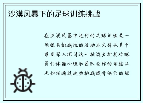 沙漠风暴下的足球训练挑战