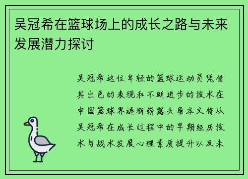 吴冠希在篮球场上的成长之路与未来发展潜力探讨