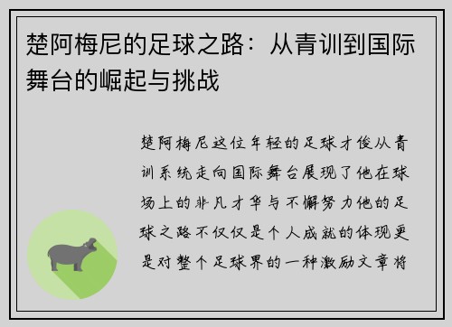 楚阿梅尼的足球之路：从青训到国际舞台的崛起与挑战