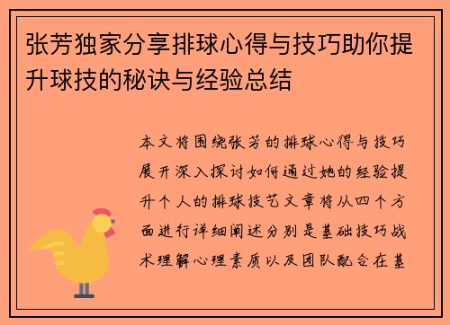 张芳独家分享排球心得与技巧助你提升球技的秘诀与经验总结